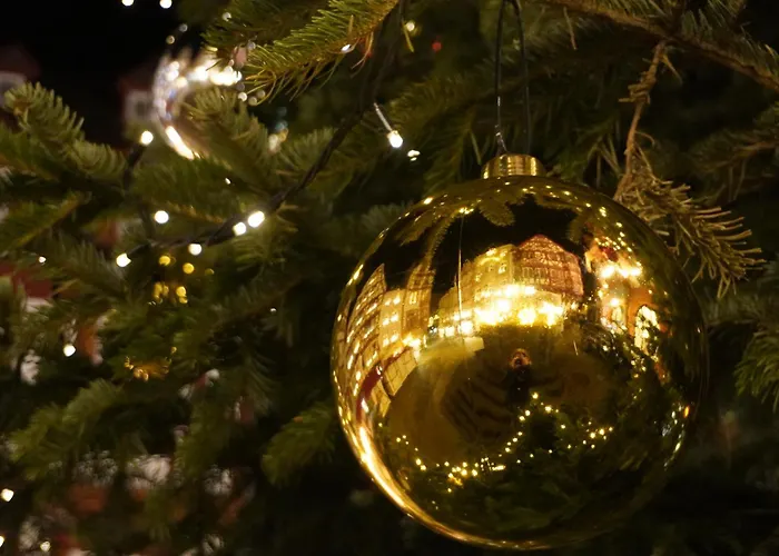 Feriengut Bohn Casa de hóspedes