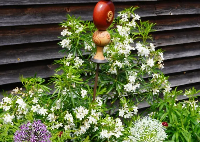 Casa de hóspedes Feriengut Bohn