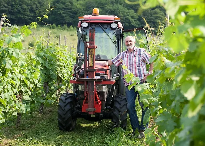 Casa de hóspedes Feriengut Bohn 4*