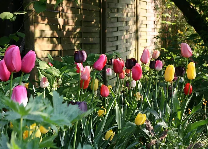 Casa de hóspedes Feriengut Bohn 4*